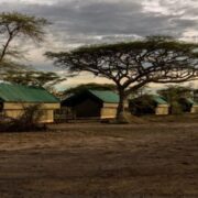 Ang'ata Migration Camp4