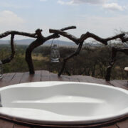 Mbalageti Tented Lodge4