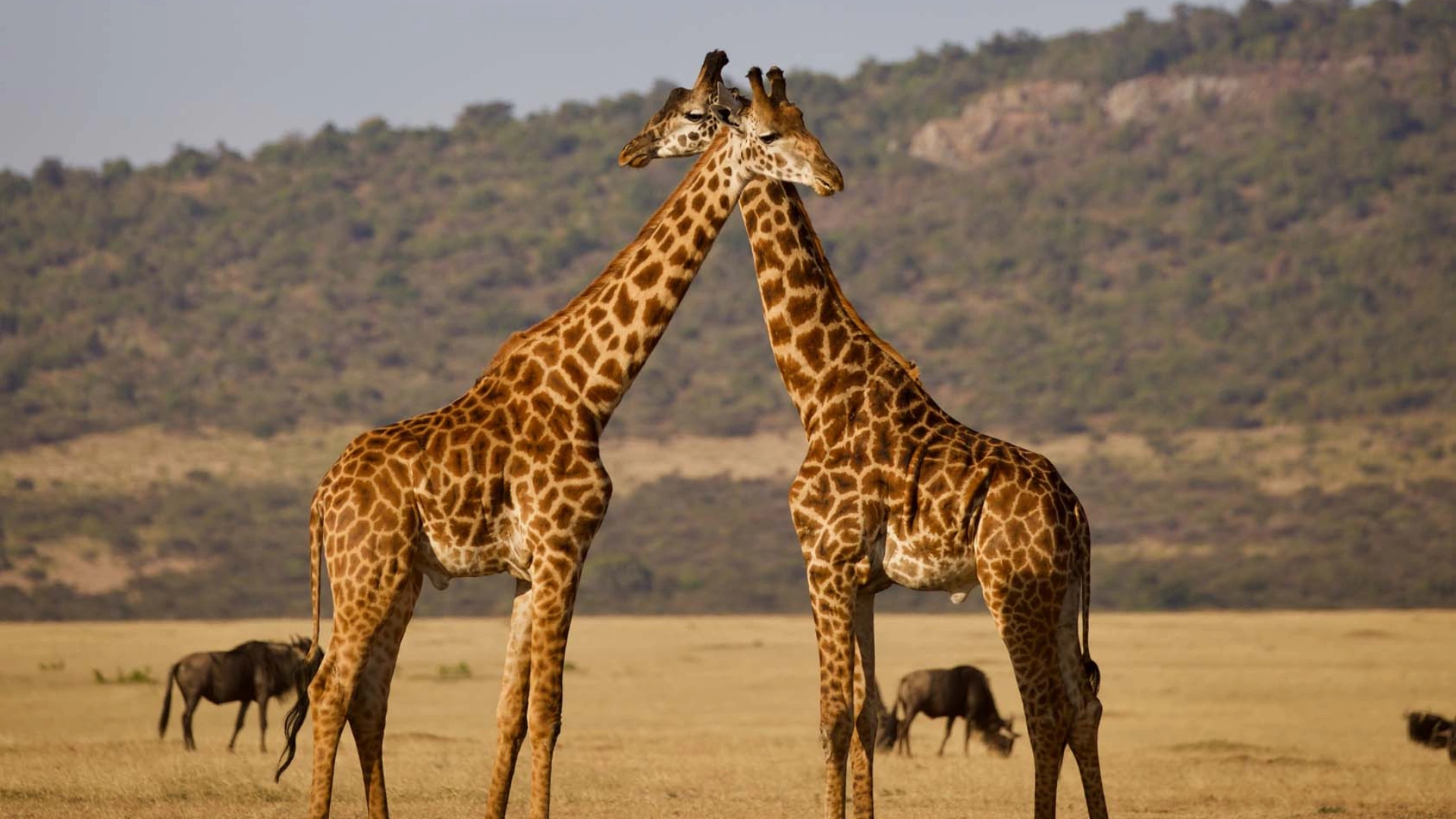 Arusha National Park