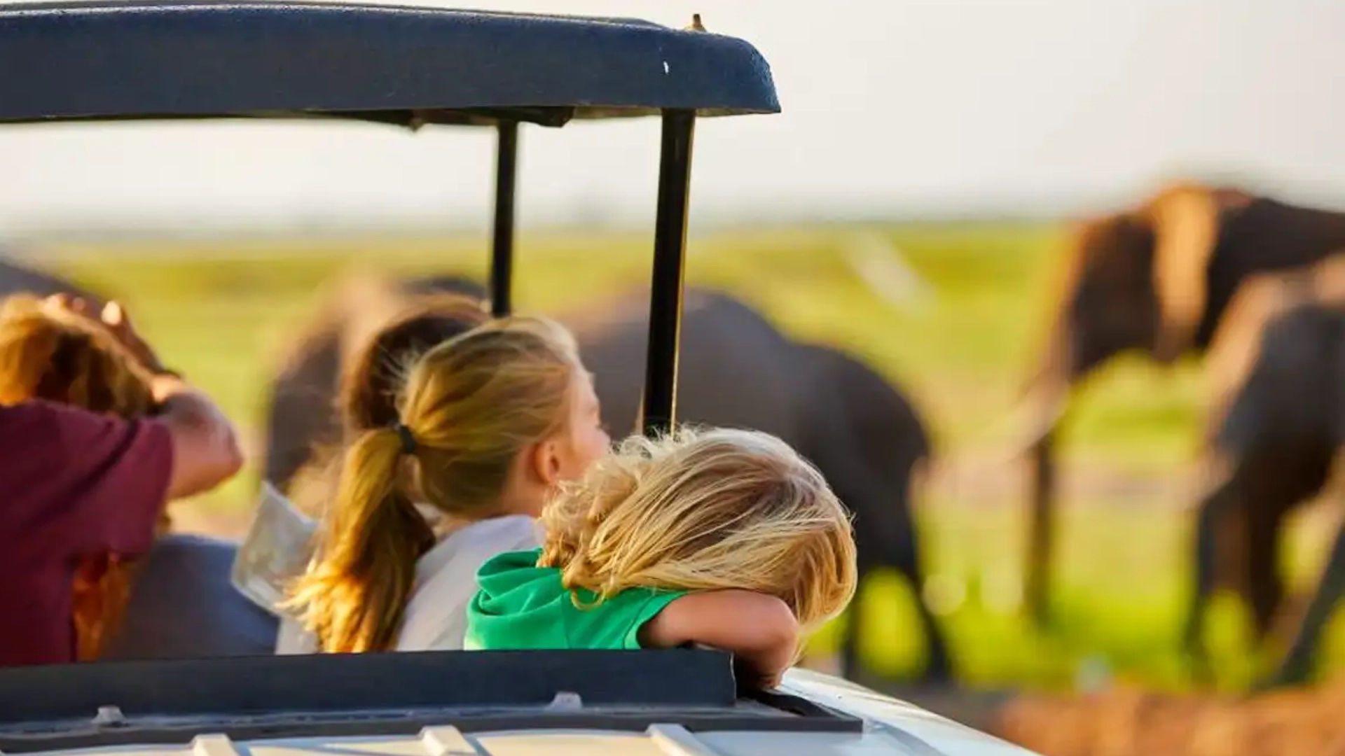 kids-on-family-safaris.webp