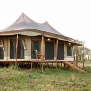 tortilis-serengeti-camp