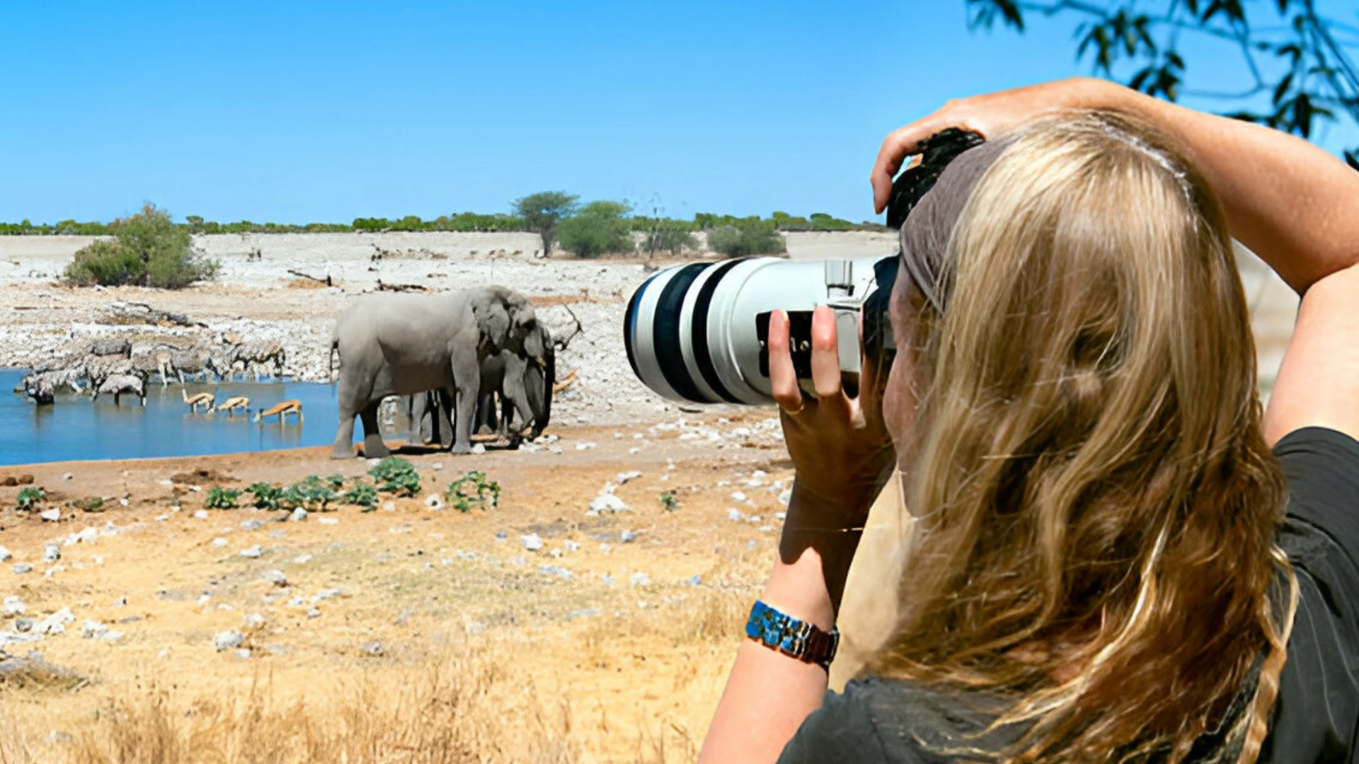 wild-africa-photography.webp