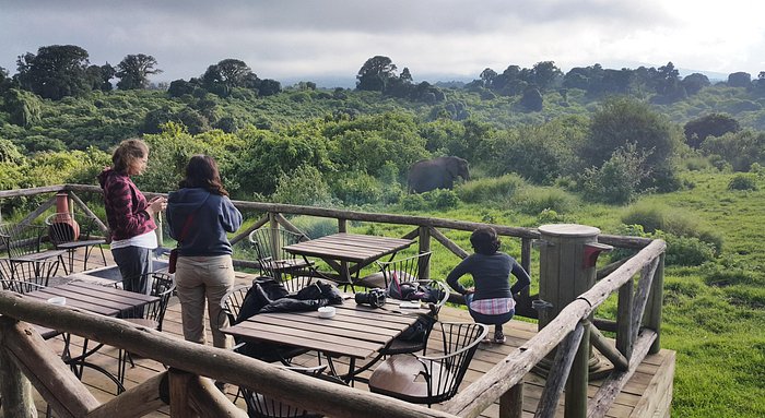 NGORONGORO THINO LODGE