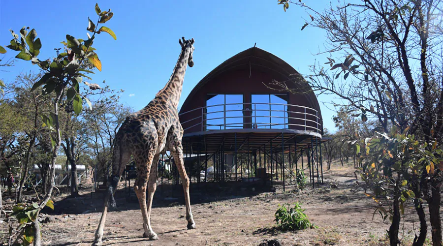 Ngorongoro-Safari-Lodge1