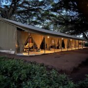 Ngorongoro Tortilis Camp