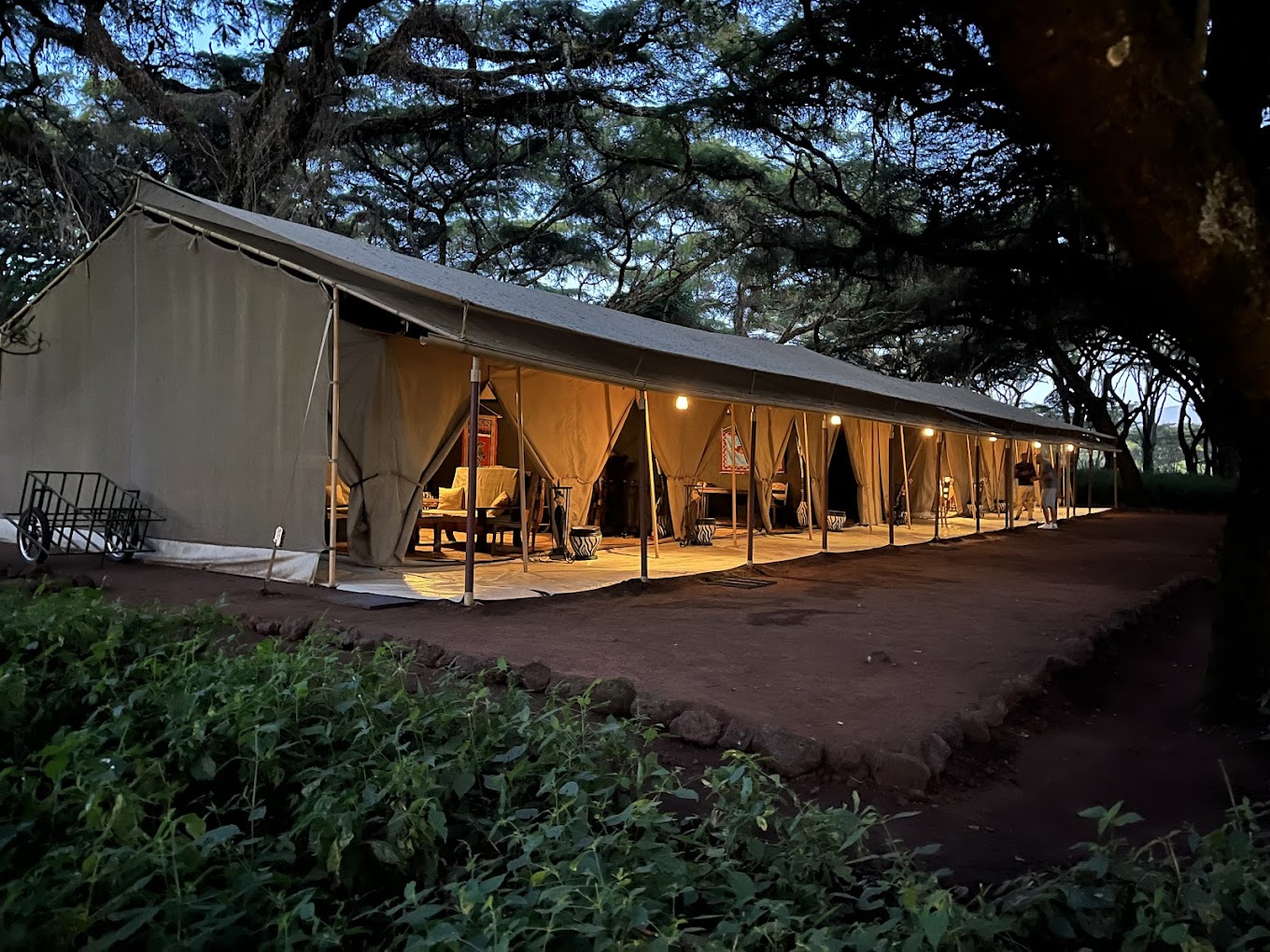 Ngorongoro Tortilis Camp