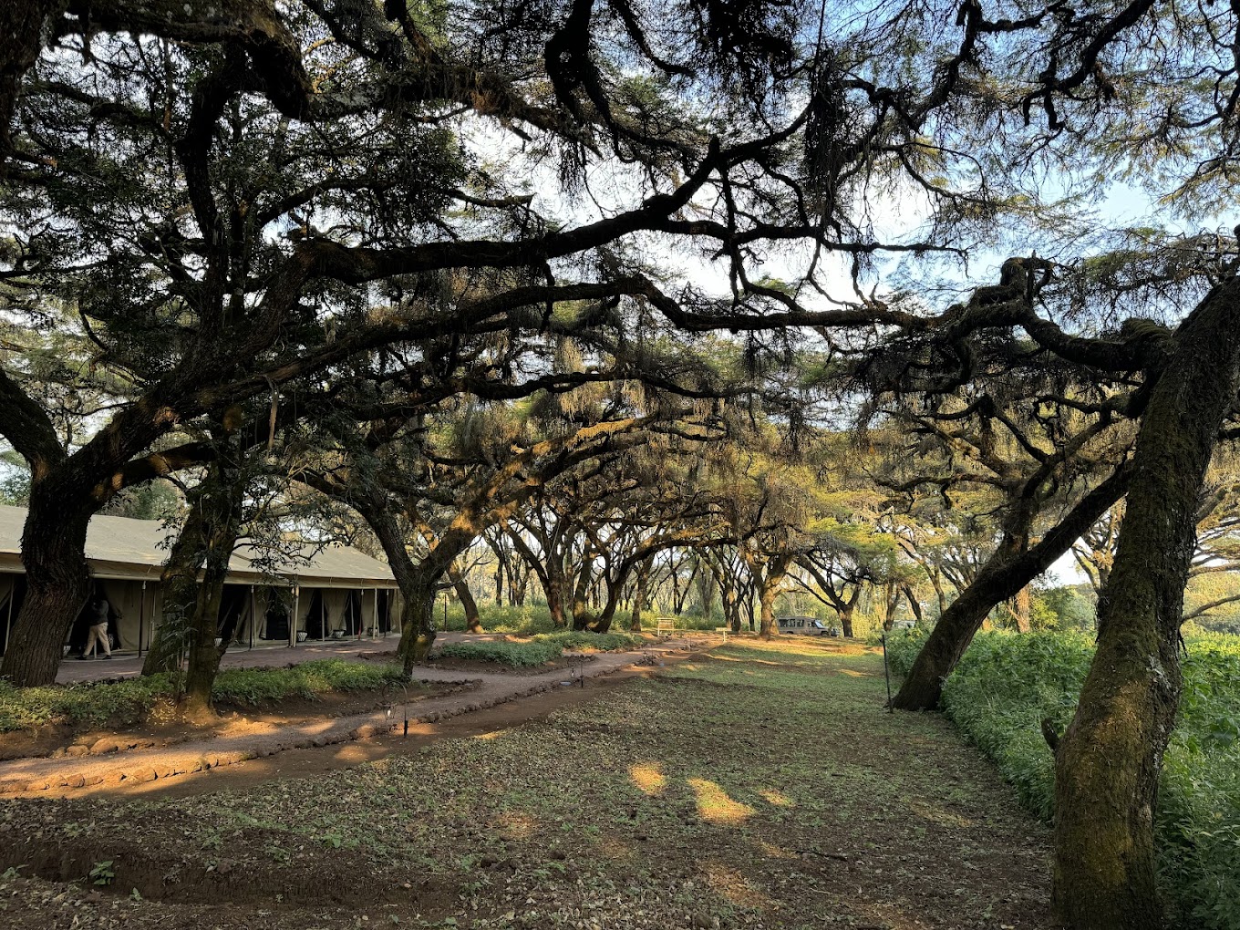 Ngorongoro Tortilis Camp2