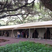 Ngorongoro Tortilis Camp4