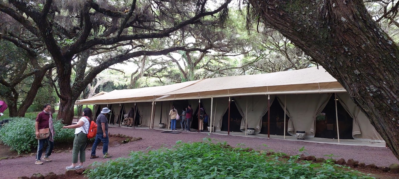 Ngorongoro Tortilis Camp4