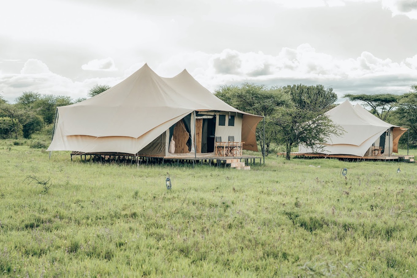 Serengeti kamwene tented camp2