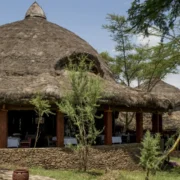 serengeti serena safari lodge