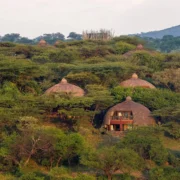 serengeti serena safari lodge2