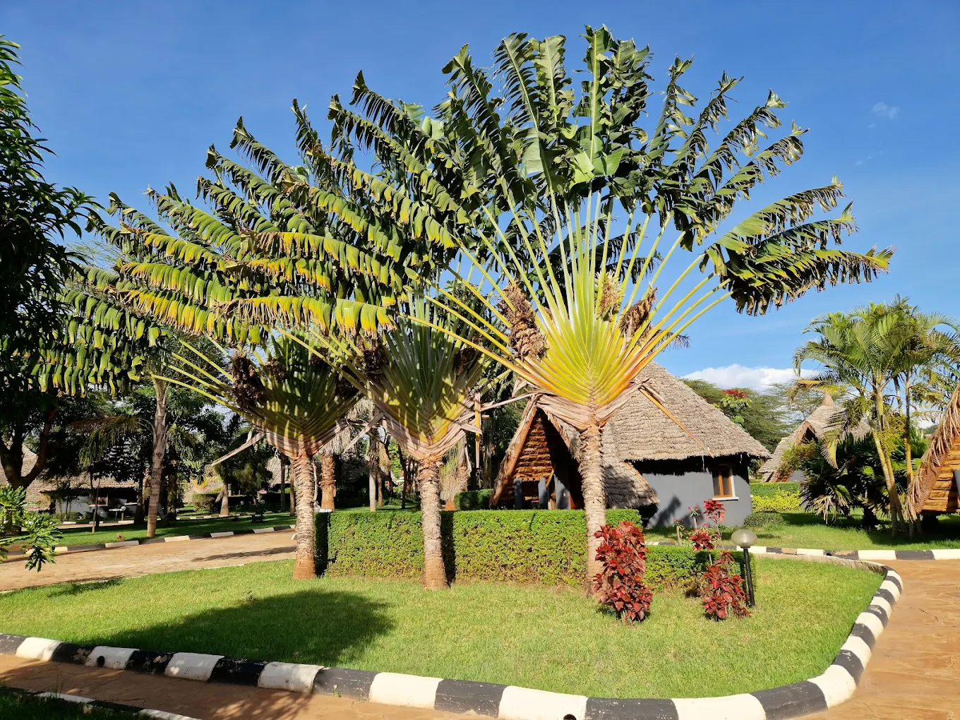 Farm of Dreams lodge2