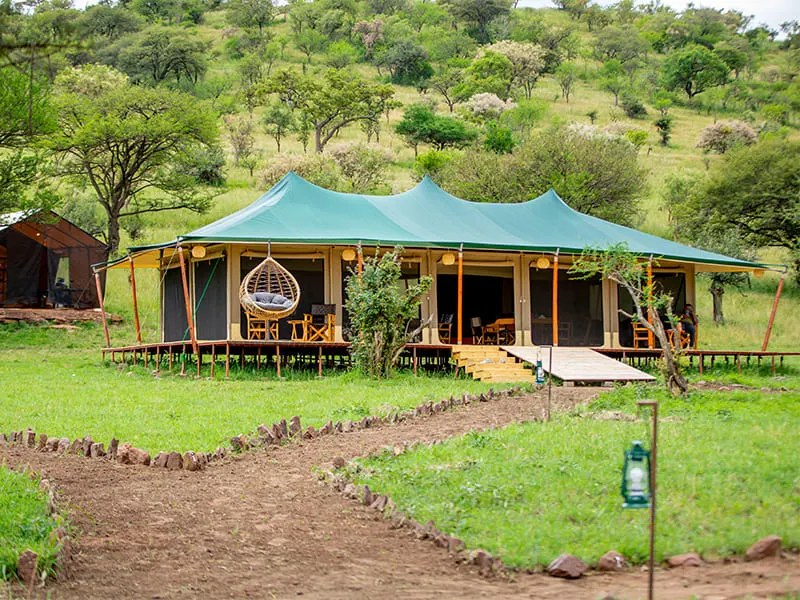 Friends Camp Serengeti