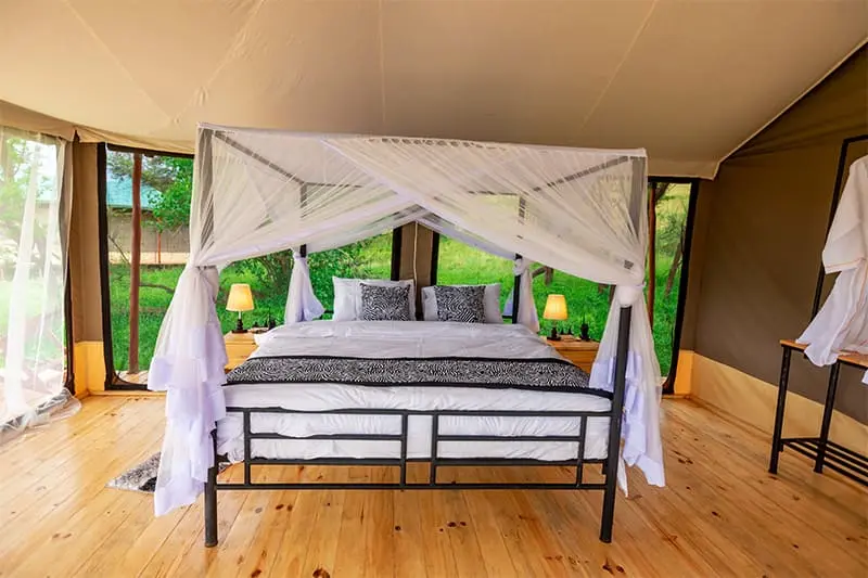 Friends Camp Serengeti2