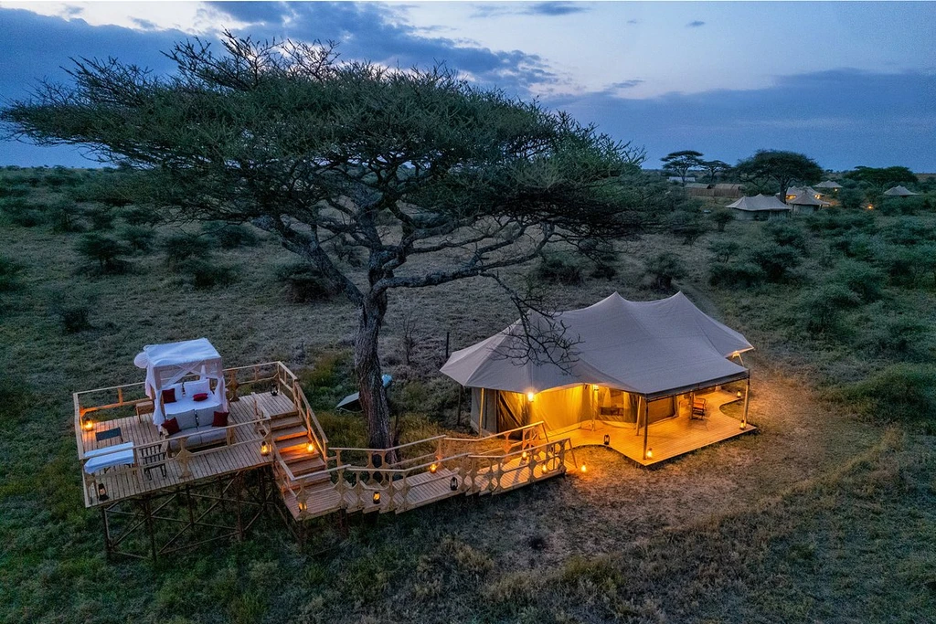 Friends Camp Serengeti3