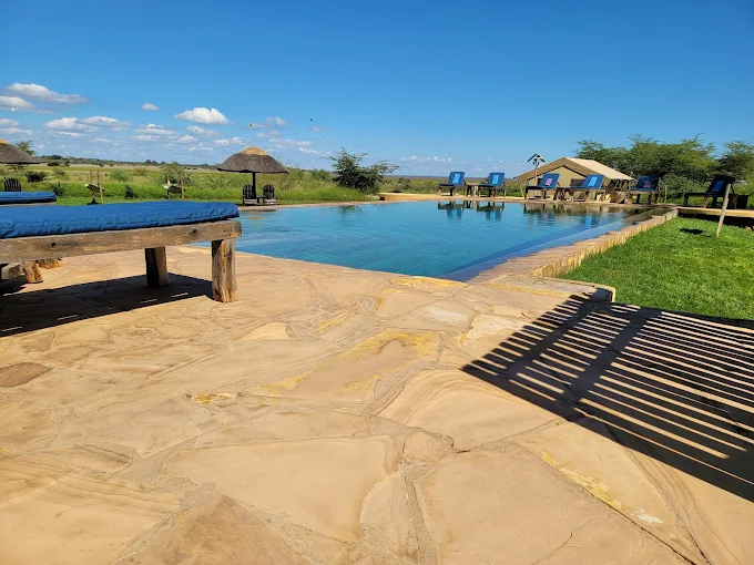 Africa safari Manyara6