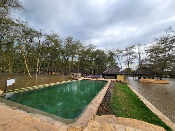 Africa safari Manyara7