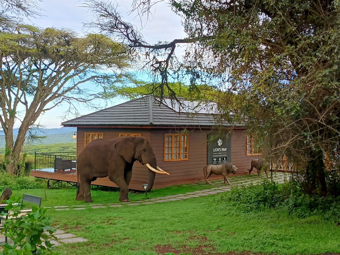 Ngorongoro Lion’s Paw Lodge4