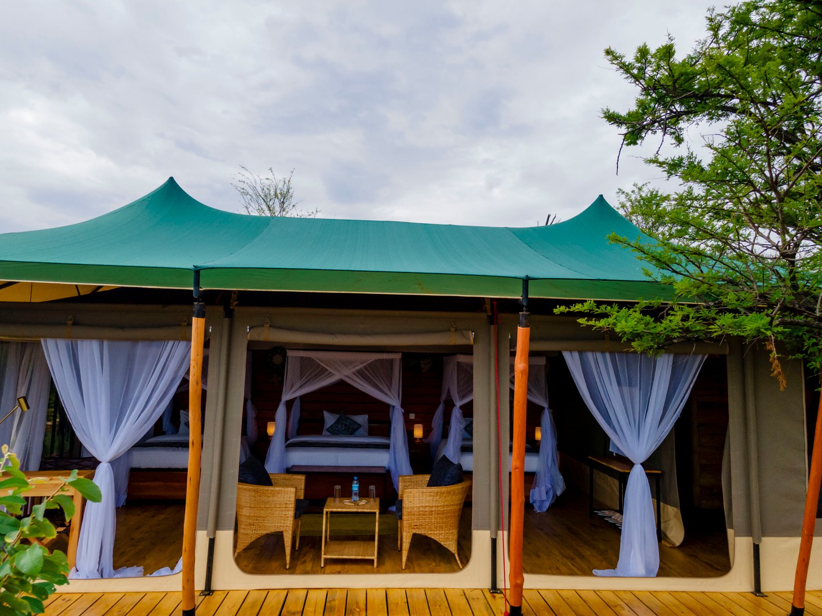 Serengeti Classic View Migration Camp7