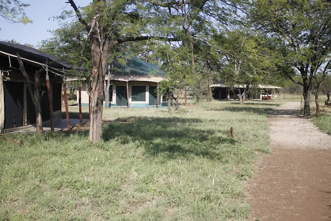 Sero Tented Camp1