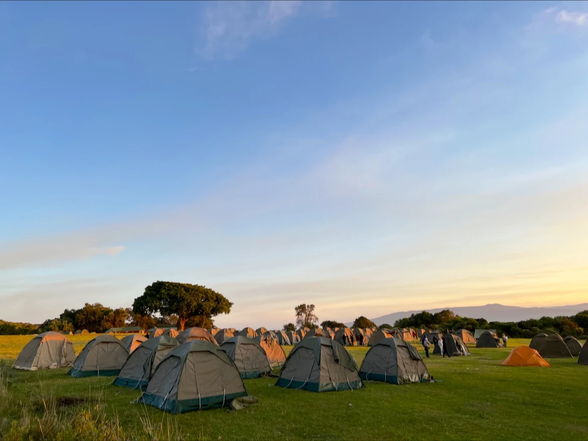 Ngorongoro simba campsite2