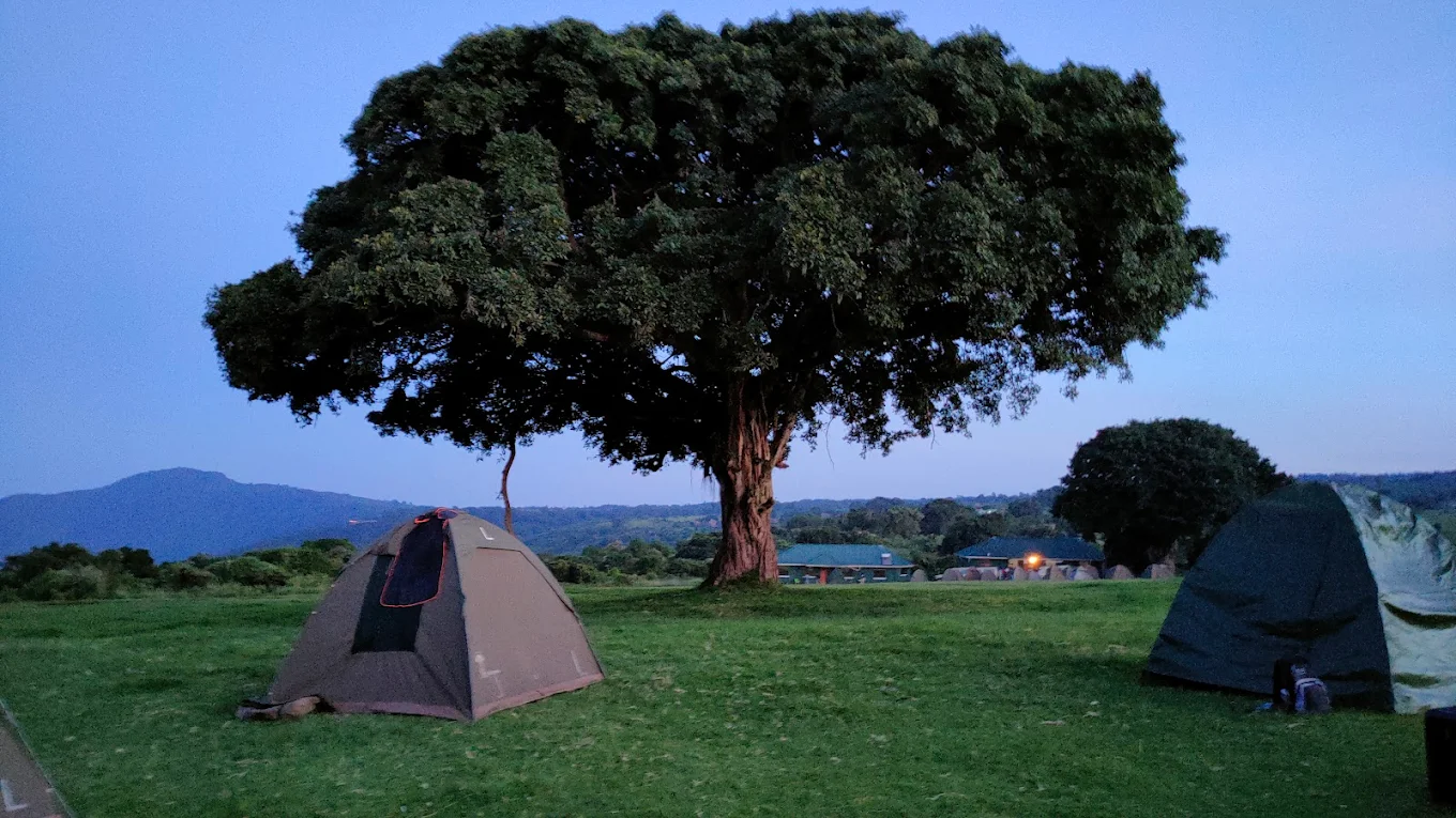 Ngorongoro simba campsite3