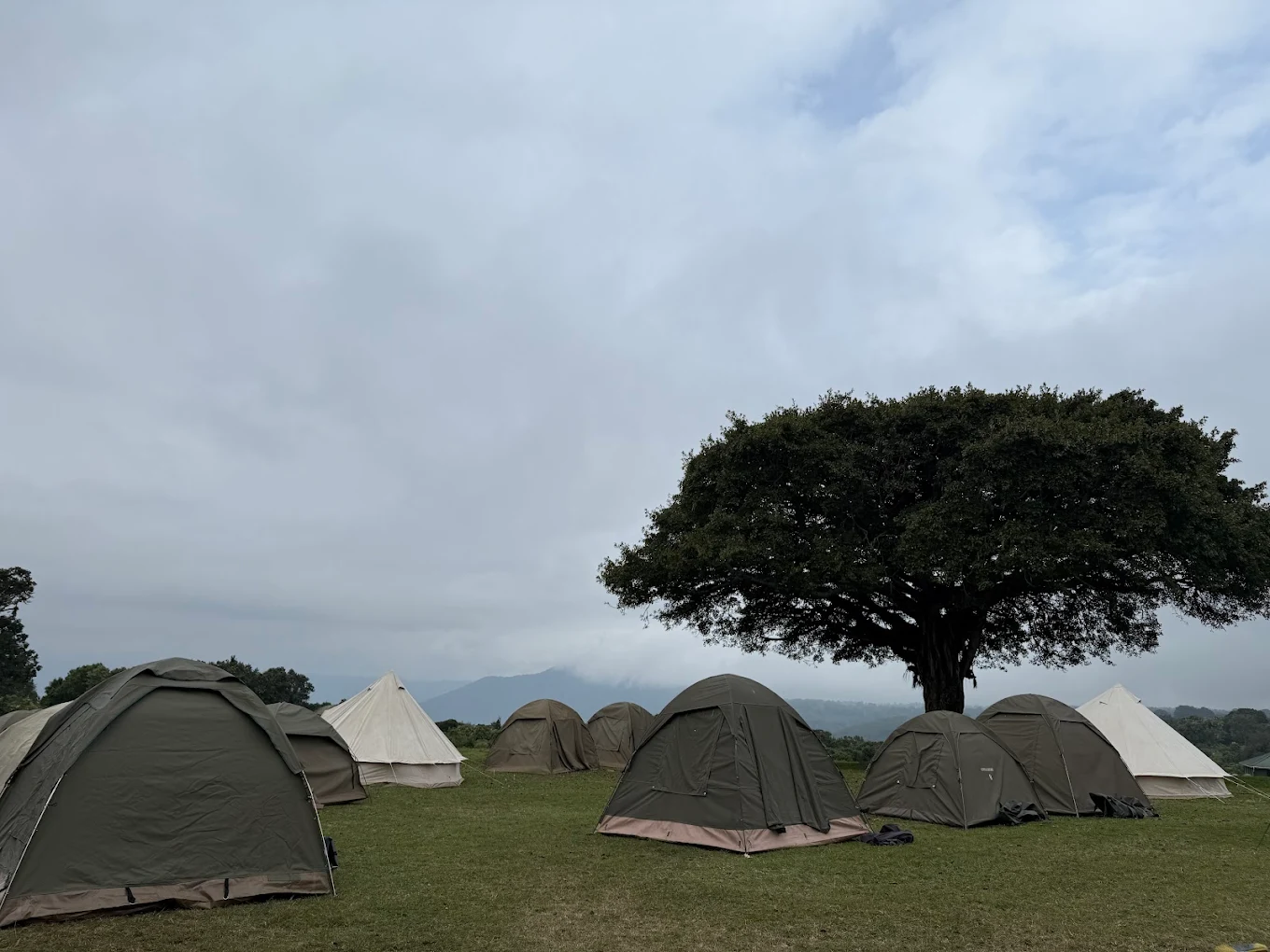 Ngorongoro simba campsite4