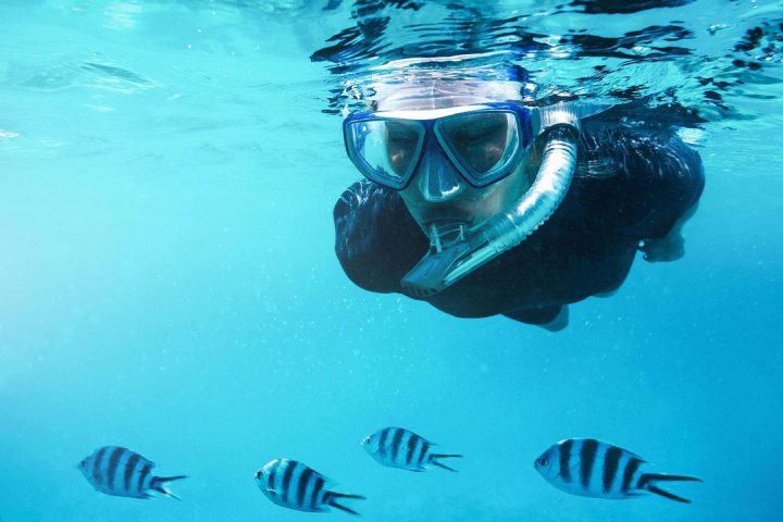 dive-mnemba-zanzibar