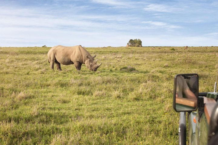 tanzania-photogenic-safari-1