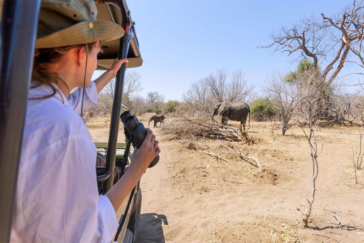 tanzania-photogenic-safari